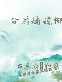 公府娇媳柳雪柔