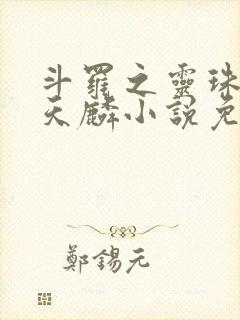 斗罗之灵珠神剑天麟小说免费阅读全文无窗口