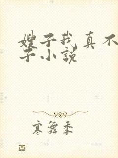 嫂子我真不是傻子小说