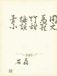 青梅竹马同居的小说甜宠文