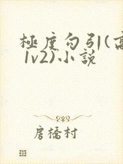 极度勾引(高h 1v2)小说