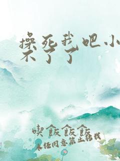 操死我吧小说受不了了