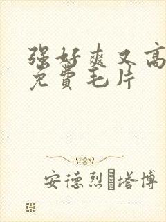 强好爽又高潮了免费毛片