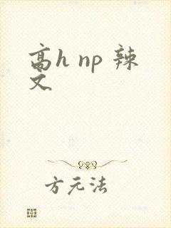 高h np 辣文