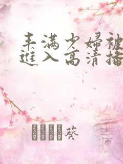 丰满少妇被猛烈进入高清播放小说