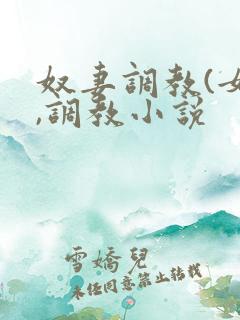 奴妻调教(女m,调教小说