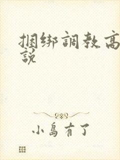 捆绑调教高h小说