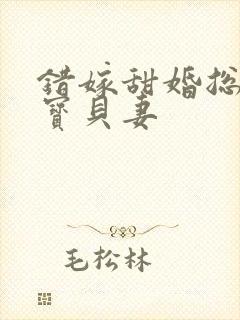 错嫁甜婚总裁的宝贝妻