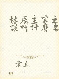 林辰主宰之心小说叫什么名字