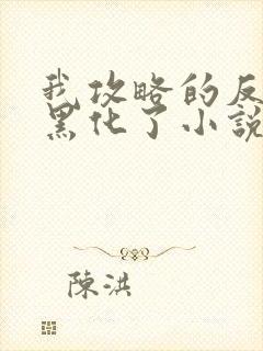 我攻略的反派都黑化了小说