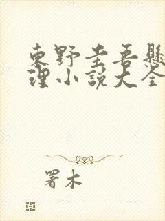 东野圭吾悬疑推理小说大全