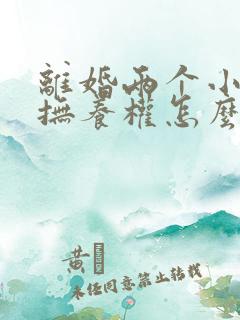 离婚两个小孩子抚养权怎么判定