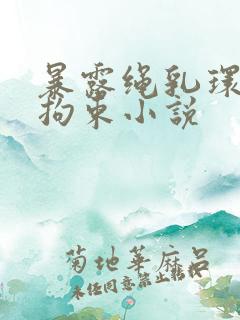 暴露绳乳环蒂环拘束小说