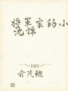 将军家的小娘子 沈锦