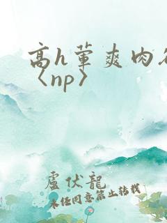 高h荤爽肉欲文〈np〉