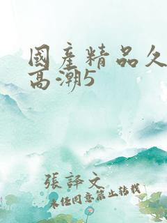 国产精品久久久高潮5