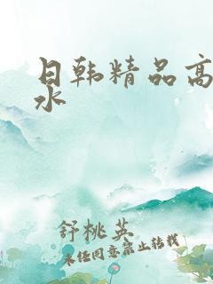 日韩精品高潮喷水