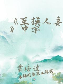 《互换人妻hd》中字