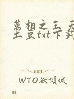 万相之王 天蚕土豆txt下载