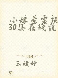 小娘惹电视剧第30集在线观看免费