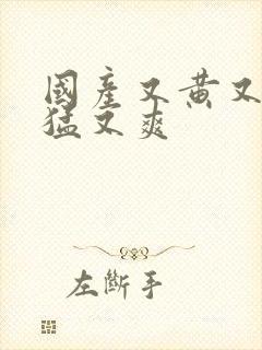 国产又黄又粗又猛又爽