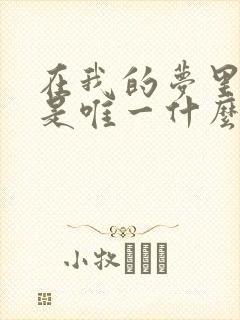 在我的梦里你不是唯一什么歌