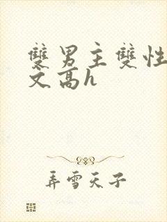 双男主双性生子文高h