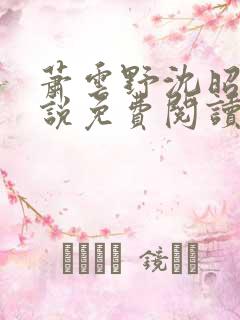 萧云野沈昭宁小说免费阅读最新章节