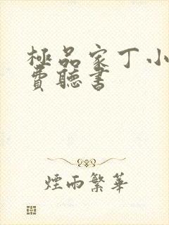 极品家丁小说免费听书