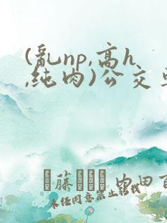 (乱np,高h,纯肉)公交车群p