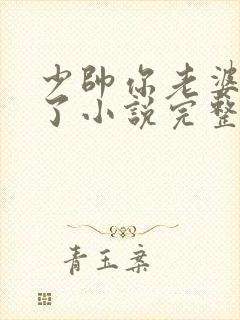 少帅你老婆又跑了小说完整版