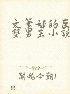 文笔好的巨冷门双男主小说