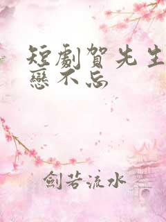 短剧贺先生的恋恋不忘