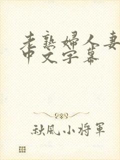 老熟妇人妻久久中文字幕