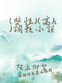 (双性)(高h)调教小说