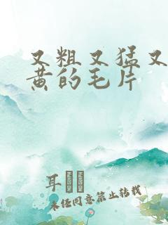 又粗又猛又爽又黄的毛片