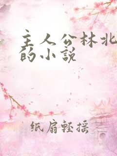 主人公林北苏婉的小说