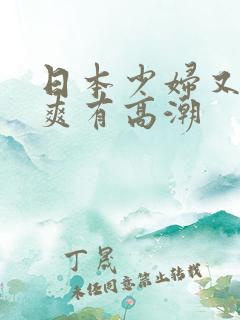 日本少妇又色又爽有高潮