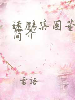 远鹏集团董事长简介