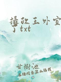 摄政王外室重生了txt