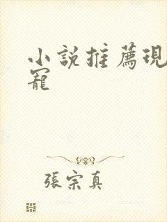 小说推荐现言甜宠