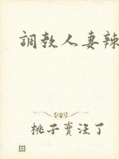 调教人妻辣文