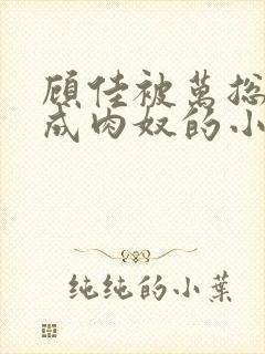 顾佳被万总调教成肉奴的小说