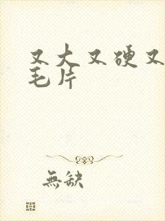 又大又硬又爽的毛片