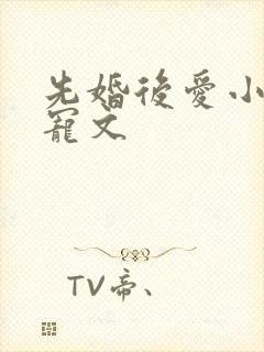 先婚后爱小说甜宠文