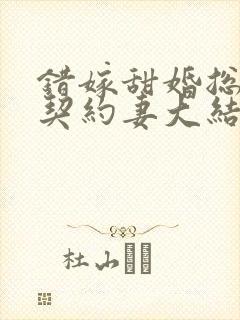 错嫁甜婚总裁的契约妻大结局