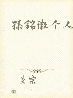 孙铭徽个人简介