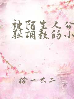 被陌生人公开羞耻调教的小说