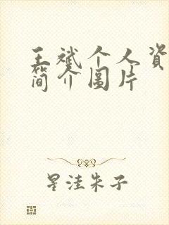 王斌个人资料及简介图片