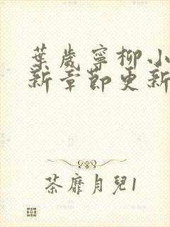 叶岁宁柳小说最新章节更新